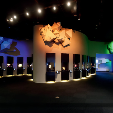 Vetrine Standard DM Showcases 